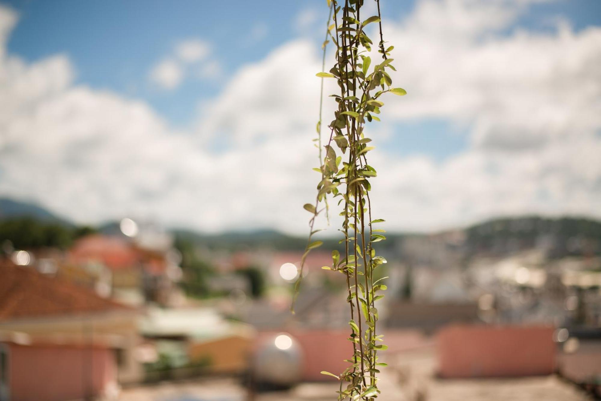 Le Soleil Boutique Hotel Da Lat Buitenkant foto