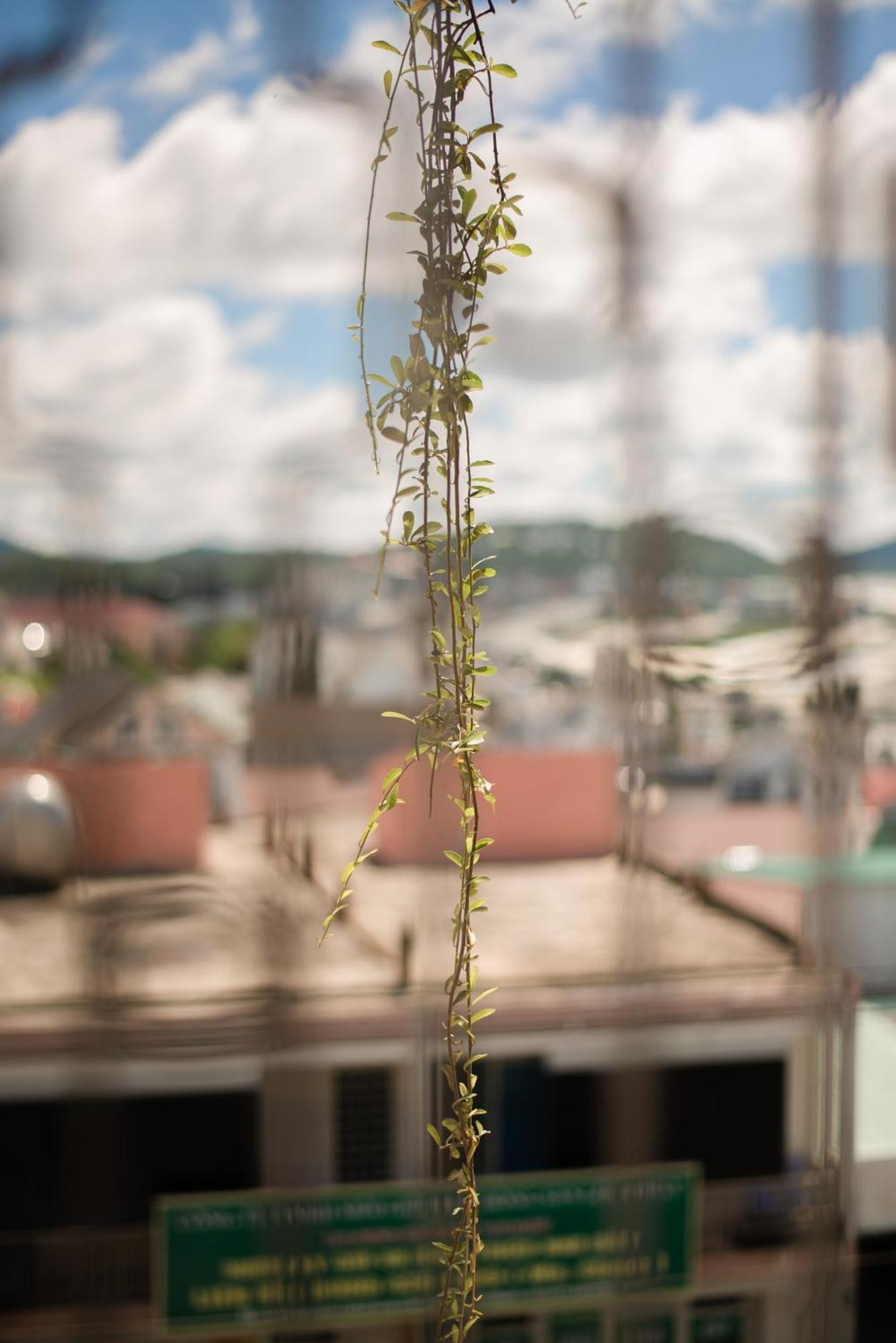 Le Soleil Boutique Hotel Da Lat Buitenkant foto
